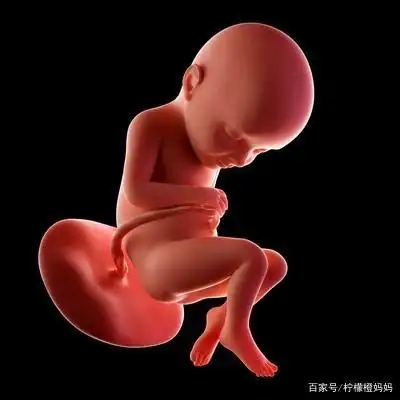 孕30周胎儿发育状况,准妈注意事项中,第一点决定宝妈是否能顺产