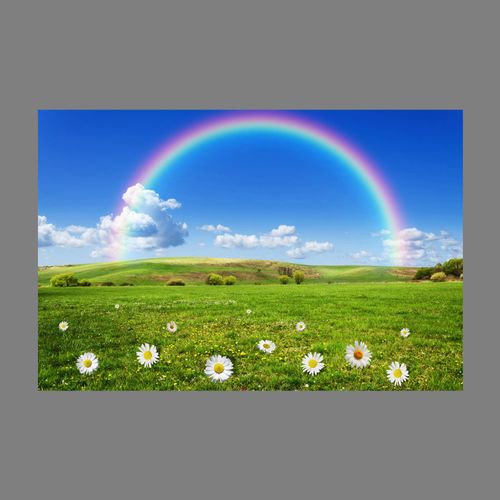 蓝天白云绿地鲜花彩虹美景绿色风景画客厅餐厅沙发背景墙画贴画6