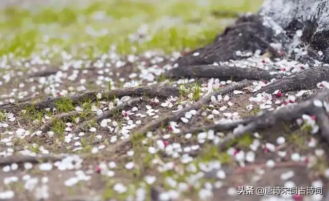 送春古诗春天柳絮纷飞唯美诗句