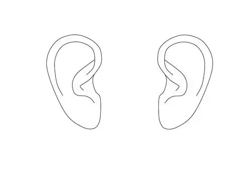 可编辑耳朵图案ppt模板