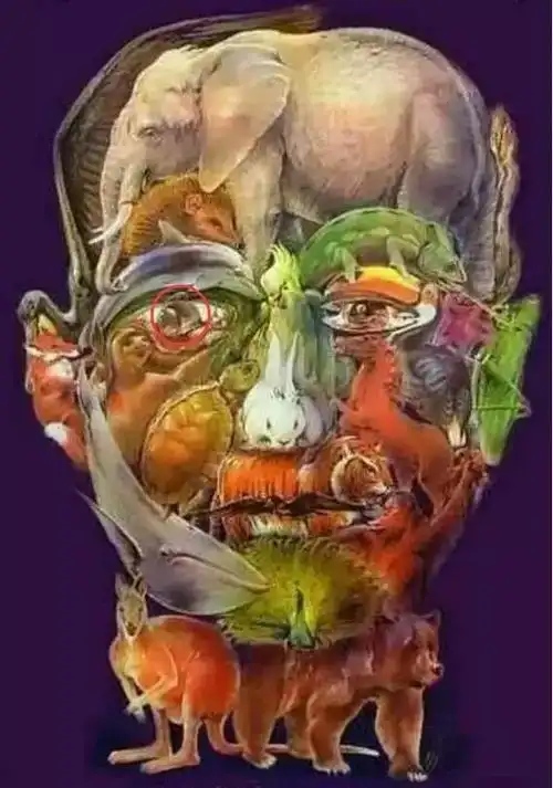 世界上最神奇诡异的两组图片,未解之谜谁能解开?