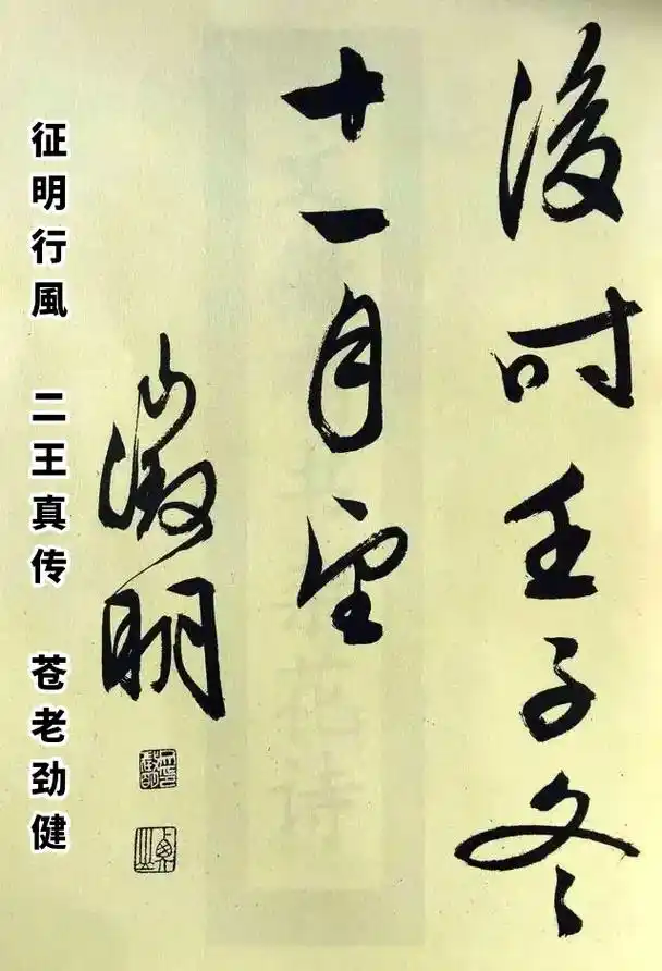 文征明书《梅花诗》#书法#行书#书法 - 抖音