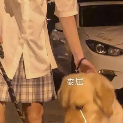 对象不是人系列情头两张高清情头对象不是人可爱的图片