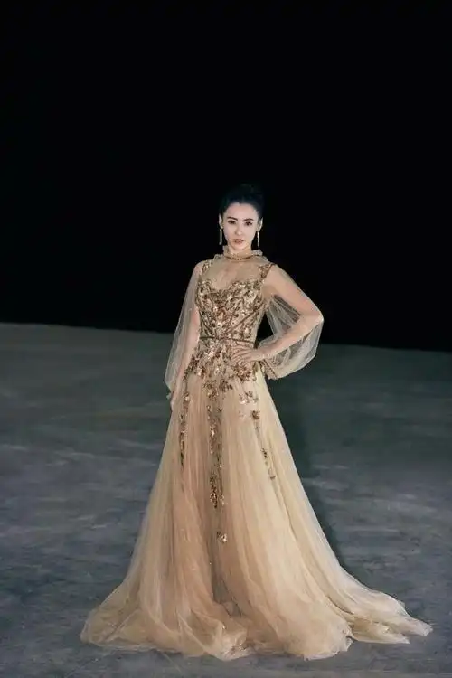 张柏芝亮相活动,一袭金色薄纱仙花裙甜美减龄,哪像40岁的人?