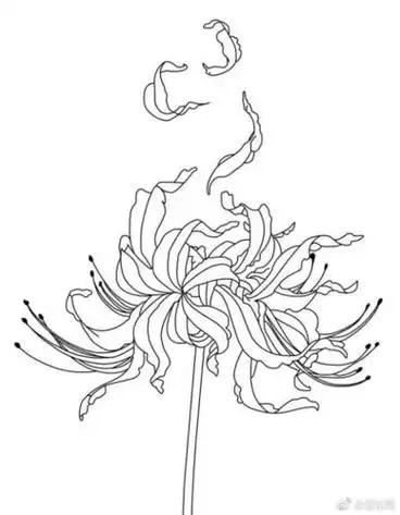 古风简笔画草木手绘