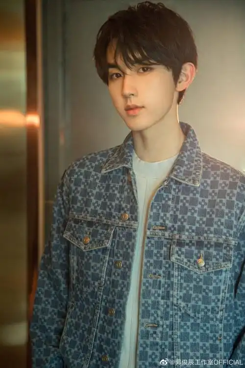 郭俊辰 - 堆糖,美图壁纸兴趣社区