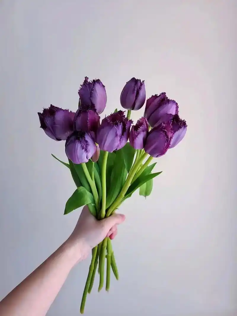 世界花后.世界花后﹣﹣郁金香 郁金香有着高雅神秘,给人以清新 - 抖音