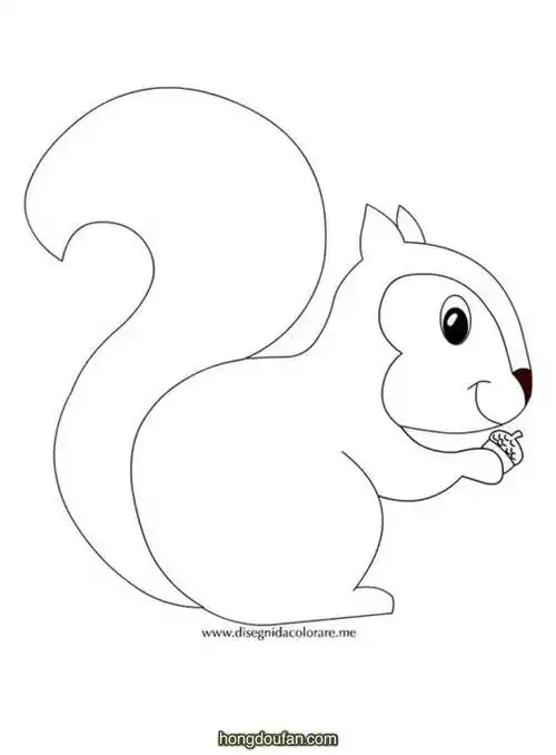 一直抱着榛果吃的小松鼠幼儿简笔画大全