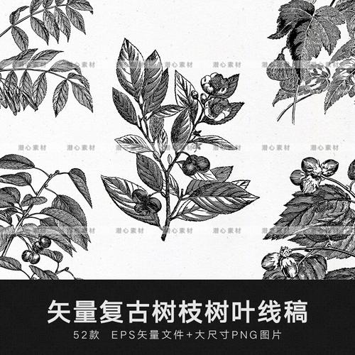 矢量白描黑白草本植物叶子树叶线稿线描装饰印刷图案免扣素材png