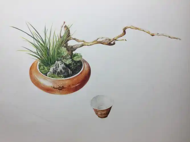 彩铅小盆景