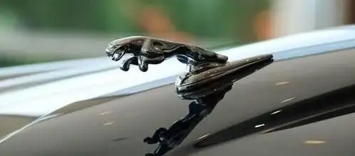 展开全部 捷豹(jaguar),也叫美洲豹汽车,英国著名汽车品牌