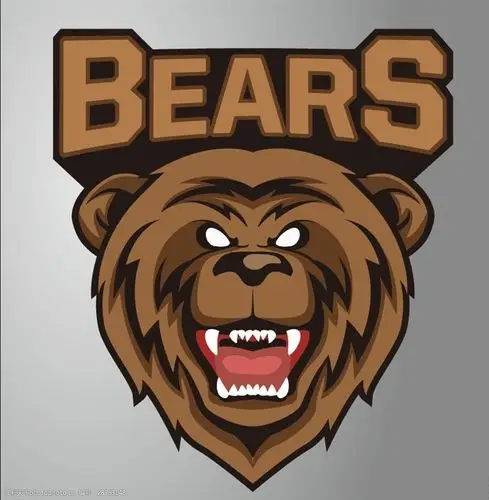 可怕的棕熊头像图案矢量素材