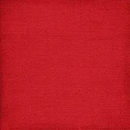 红底背景纯色照片红底背景纯色