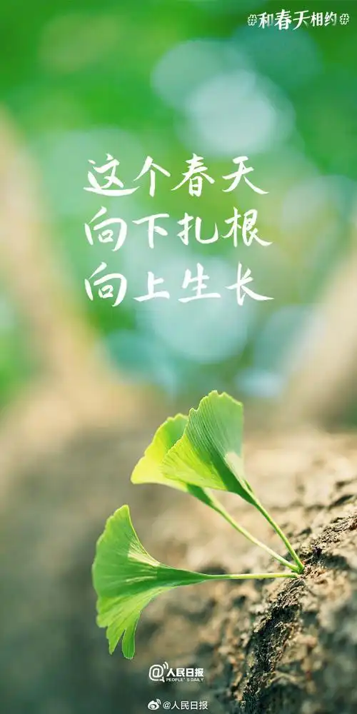 春日加油壁纸##春日限定励志文案