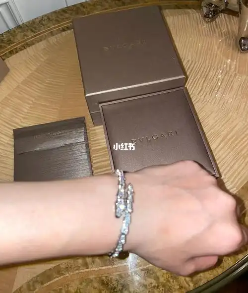 bvlgari宝格丽蛇头手镯
