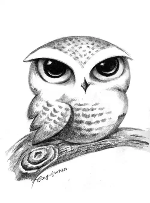 铅笔动物素描系列之