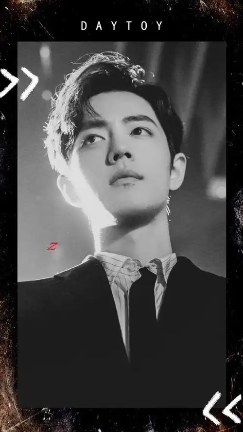 黑白系肖战壁纸