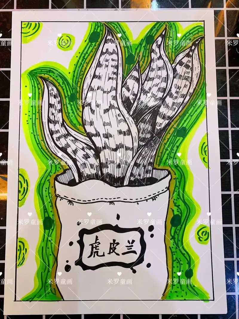 【线描虎皮兰】～创意线描画#创意美术 #一起学画画 #马克笔 - 抖音