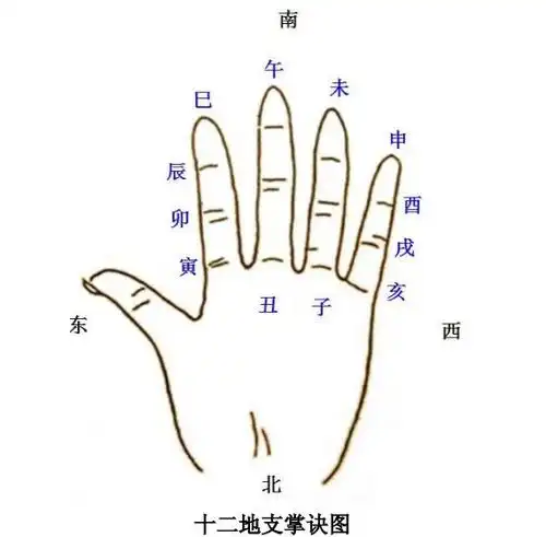 十二地支掌诀图,蛮清晰的,给大家分享下