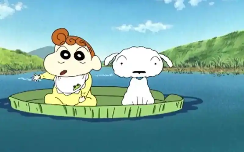 【蜡笔小新】小白是个尽责的哥哥,也是小葵的守护神