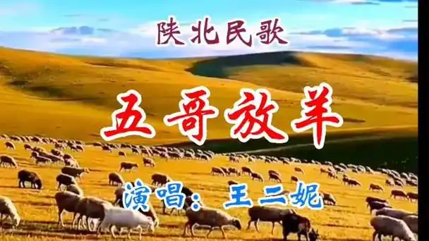 王二妮演唱陕北民歌《五哥放羊》旋律优美醉人,与大家共同欣赏