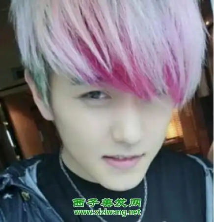 这是一款比较慵懒自然的男生的头发,这样的挑染白发发型,是白色和粉红