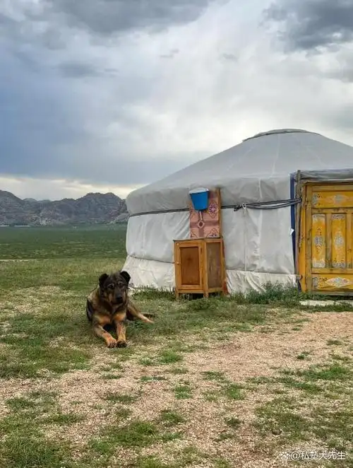 从蒙古旅游回来讲一个真实的蒙古不要再轻信网上的流言蜚语了