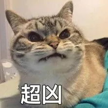 超凶猫咪表情包免费下载