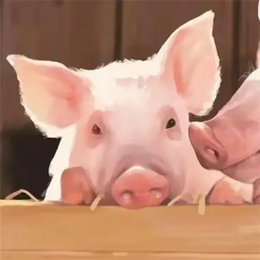 个性沙雕搞怪的一对高清情头图片