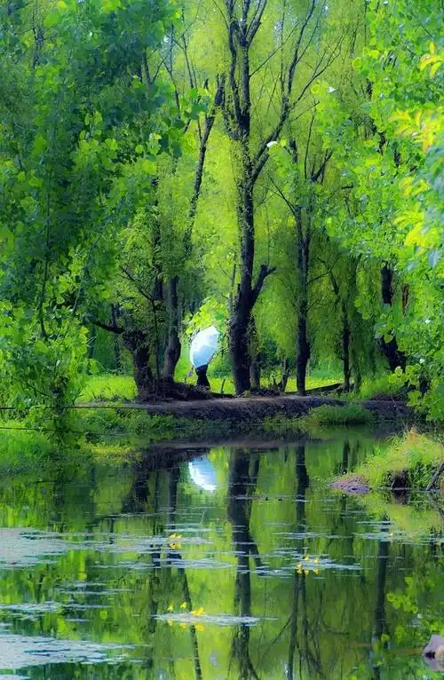 唯美邛海|实(10)招!实拍邛海美景图,教你把倒影拍的更出色!