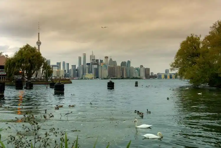 美丽,浪漫多伦多