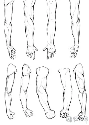 写生手臂—人体体块手臂肌肉的练习