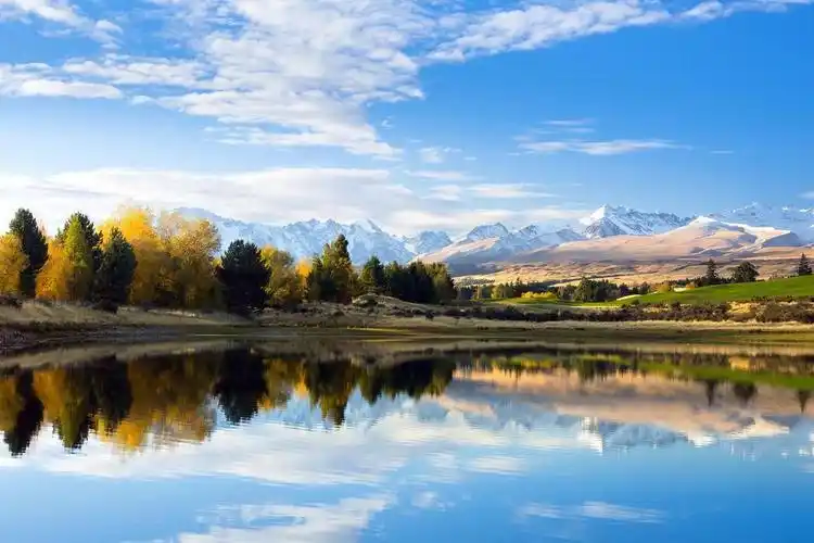 湖泊拱桥垂柳护眼壁纸(6000x4000) - 5k风景高清壁纸 - 典雅壁纸