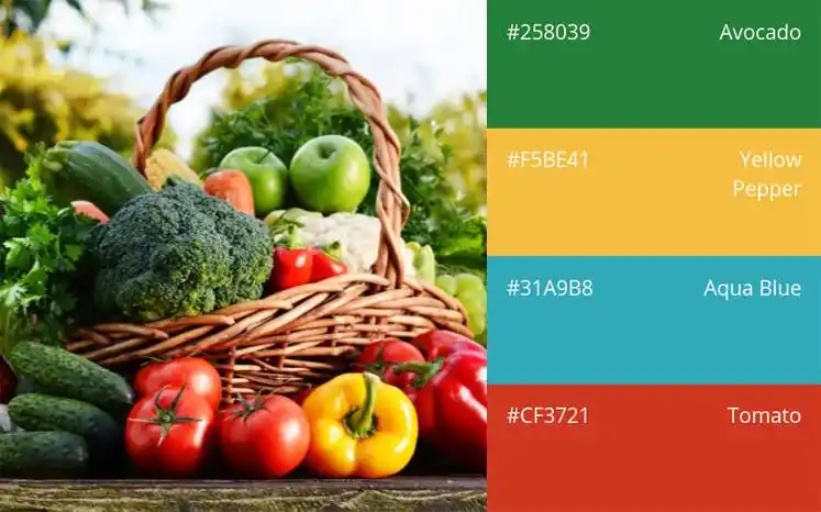 100种颜色组合及如何应用(二)