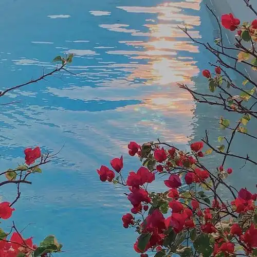 有什么看起来很舒服高级的微信背景图