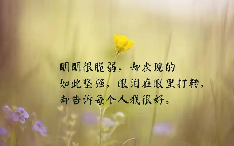 心痛心凉了的说说图片