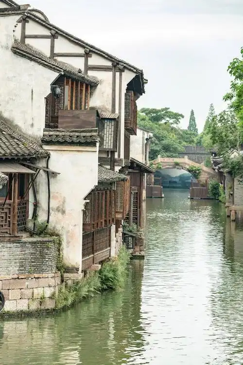 乌镇:探访江南水乡的魅力,感受白墙黑瓦与小桥流水的诗意生