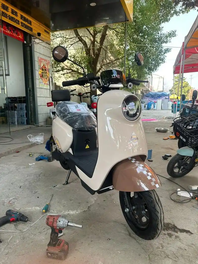 立马电动车 2700拿下 5节超微石墨烯电池 续航50-70km左右 买贵了嘛