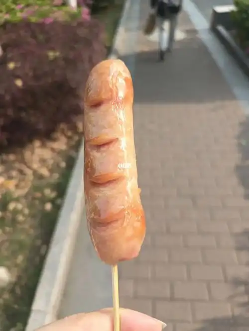 这样一根烤肠在你们学校卖多少钱