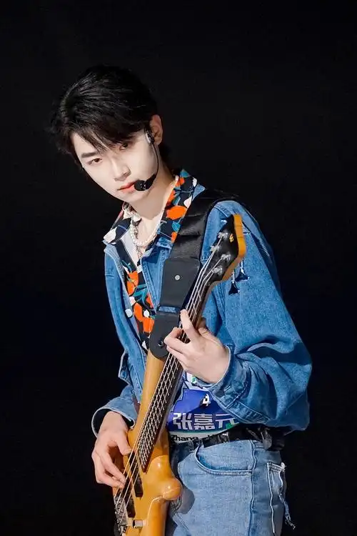 张嘉元的整肃给我进来