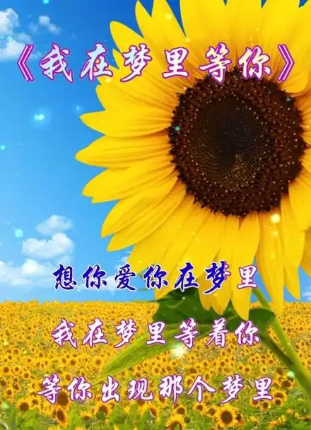 《我在梦里等你》#伤感情歌