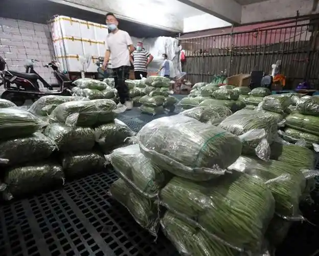 降雨持续上海江桥蔬菜批发市场日均进场6000多吨150多个品种蔬菜