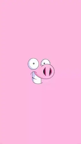 有哪些有趣的壁纸或聊天背景?