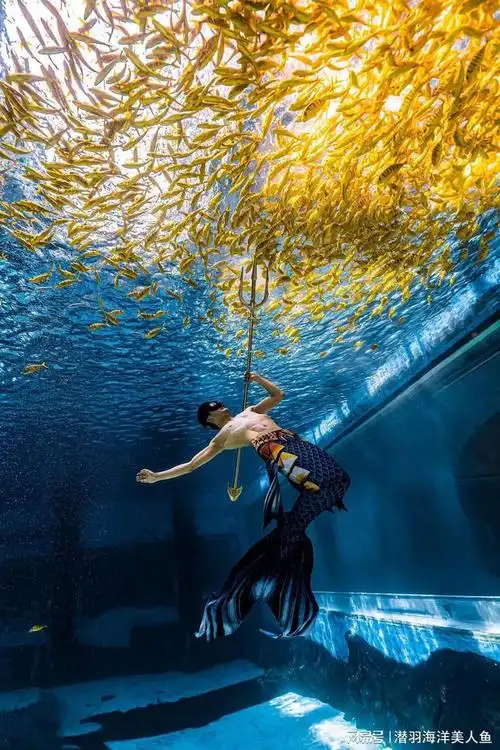 打破传统,刚柔并济丨国产男美人鱼,充满力量的阳刚大美|潜水|游泳