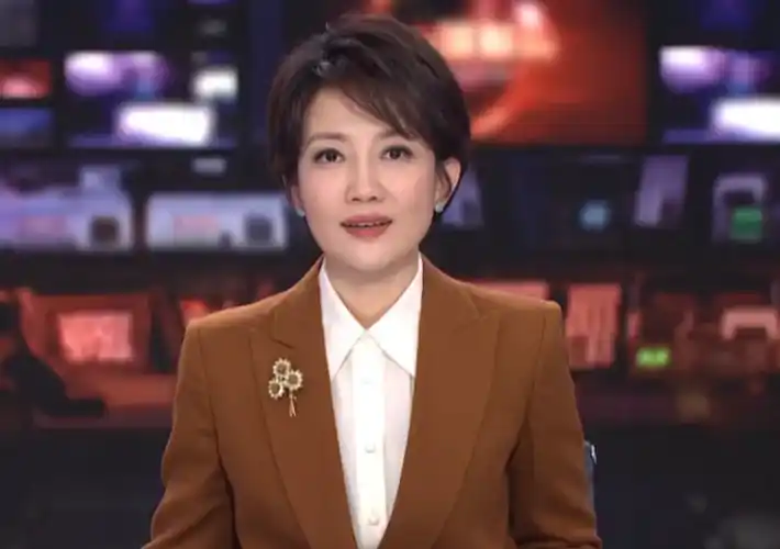 王端端 :从辽宁沈阳走出来的央视著名主持人,男友在雾中迷路了_观众