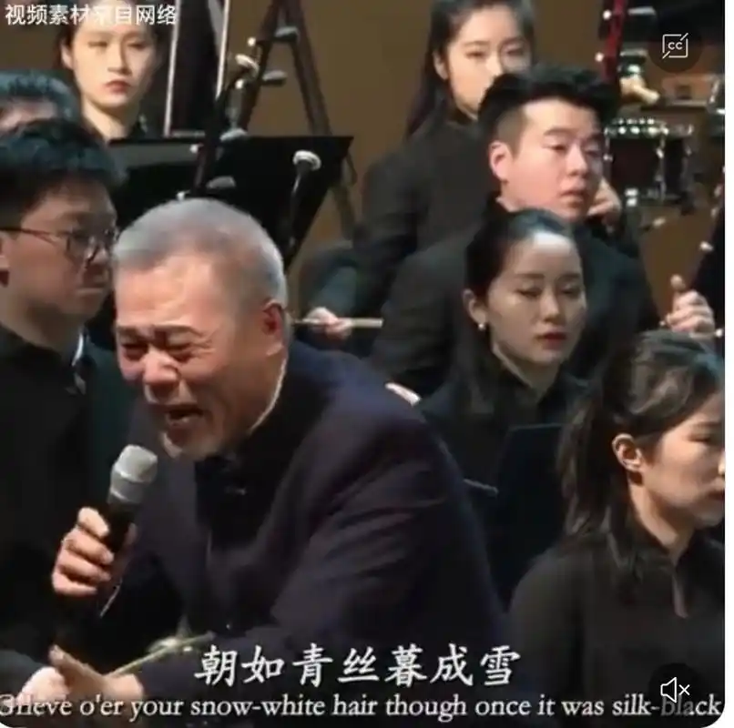 士林微语:一个严重的文化事故  严重的文化事故!