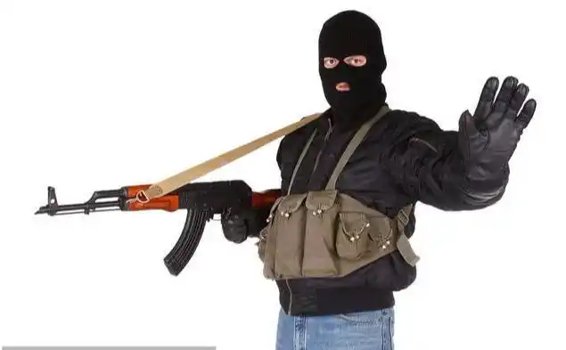 ak步枪匪徒专用,它比ak还要猛,来头不小,却名声恶臭