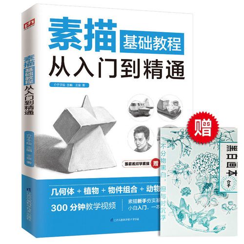 素描基础教程零基础自学绘画书籍铅笔画画书静物速写从入门到精通