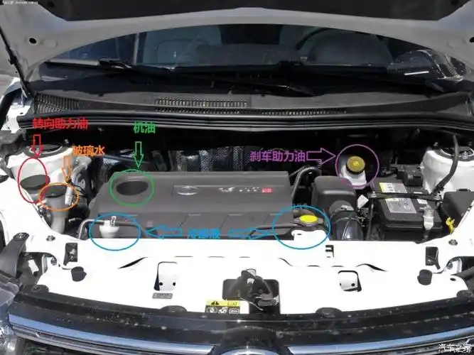 我就想知道冷却液防冻液到底加在那个里面