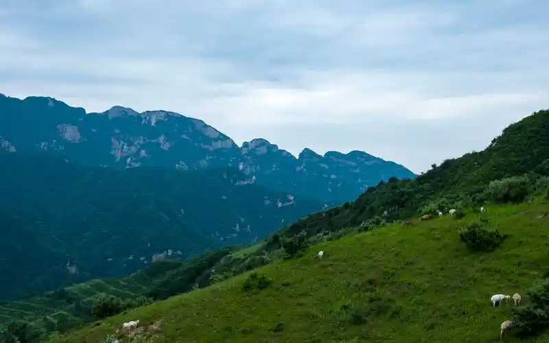 流峪寺村高山草甸摩旅